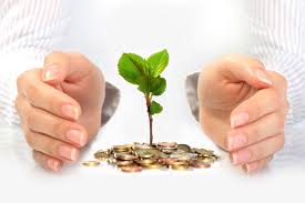 Donna Stone Business Consultant Cultivate Business Donna Stone Business Consultant Cultivate Business