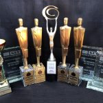 Stone Business Coaching Mentoring Awards