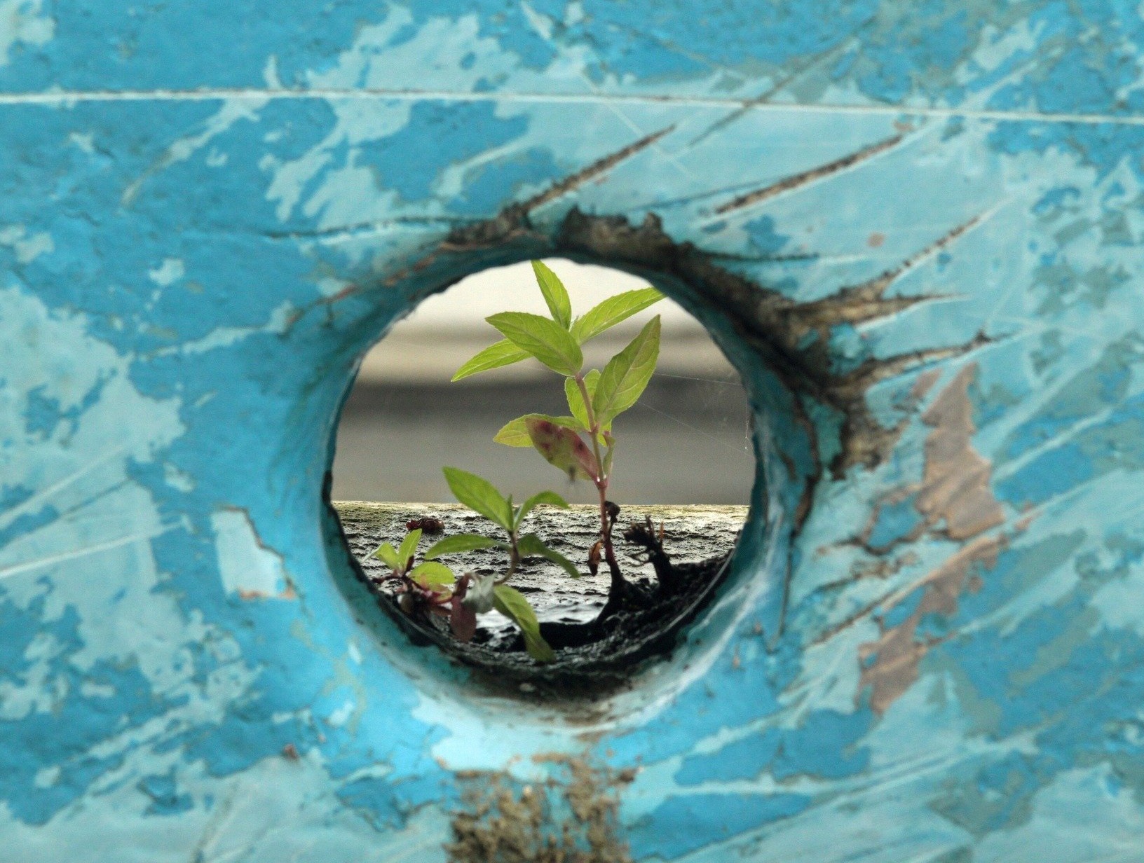 Resilience in Business Crisis Covid19 Resilience in Business Crisis Covid19